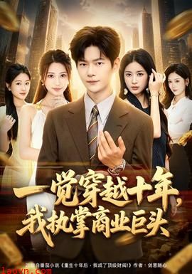 一觉穿越十年，我执掌商业巨头