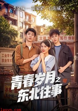 青春岁月之东北往事