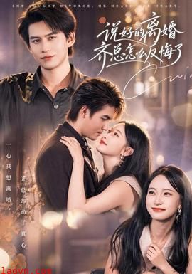 说好的离婚齐总怎么反悔了
