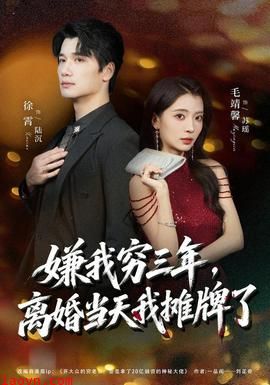 嫌我穷三年，离婚当天我摊牌了