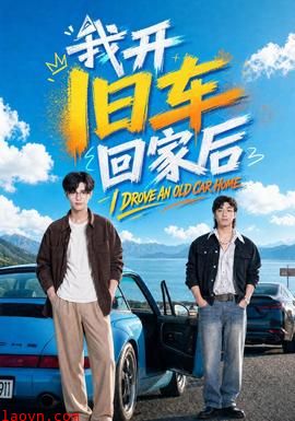 我开旧车回家后