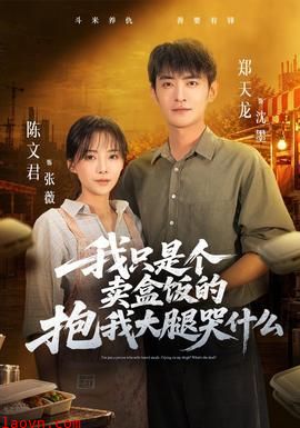 我只是个卖盒饭的抱我大腿哭什么