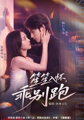 笙笙入怀，乖别跑